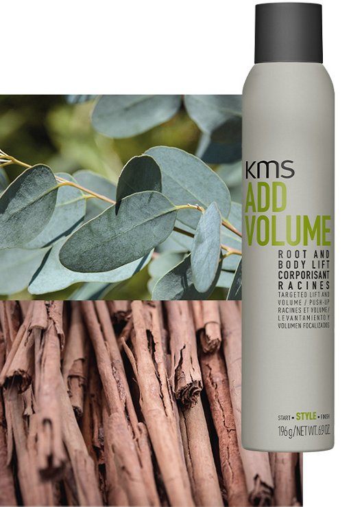 ADDVOLUME ROOT AND BODY LIFT 200ml