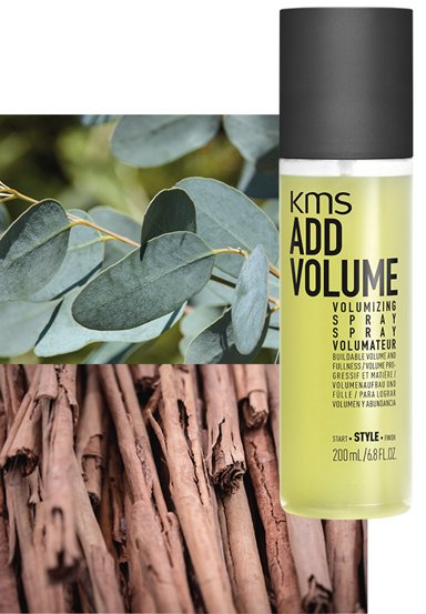 ADDVOLUME  VOLUMIZING SPRAY 200ml