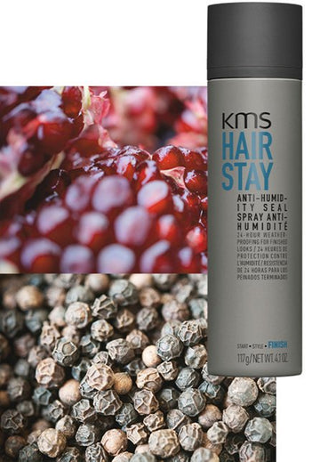 HAIRSTAY ANTI-HUMIDITY SEAL 150ml