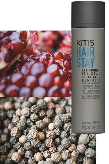 HAIRSTAY ANTI-HUMIDITY SEAL 150ml