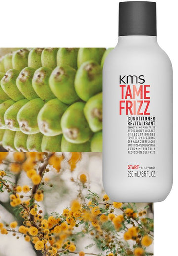 TAMEFRIZZ Conditioner 250ml