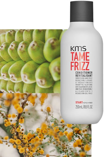 TAMEFRIZZ Conditioner 250ml