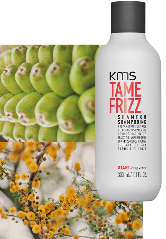 TAMEFRIZZ Shampoo 300ml