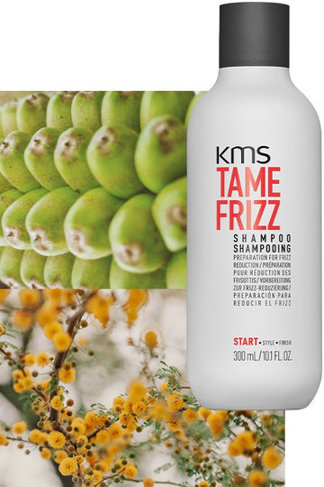 TAMEFRIZZ Shampoo 300ml