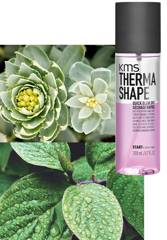 THERMASHAPE Quick Blow Dry 200ml