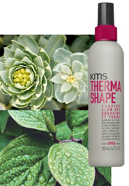 THERMASHAPE SHAPING BLOW DRY 200ml