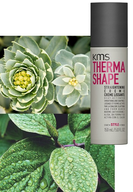 THERMASHAPE STRAIGHTENING CREME 150ml