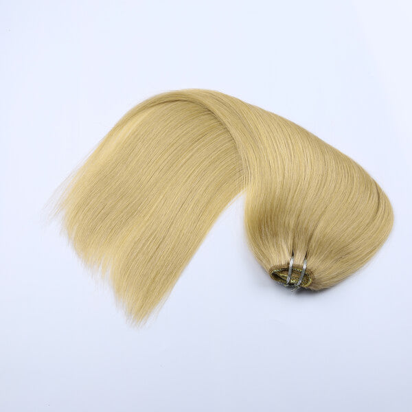 #24 Champagne Blonde Clip-In Hair Extensions
