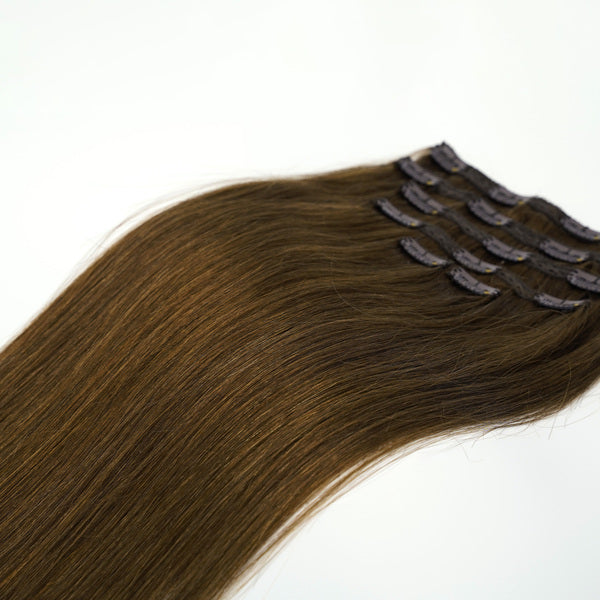 #6 Chestnut Blonde Clip-In Hair Extensions
